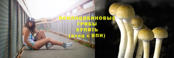 ешки Верея