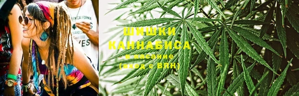 ПСИЛОЦИБИНОВЫЕ ГРИБЫ Слюдянка