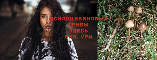 прущие крисы Волосово