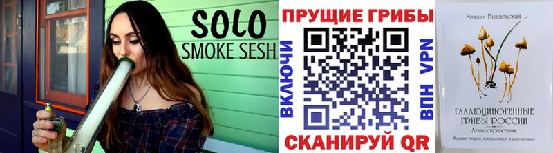 Псилоцибиновые грибы GOLDEN TEACHER  купить закладку  гидра онион  Геленджик 
